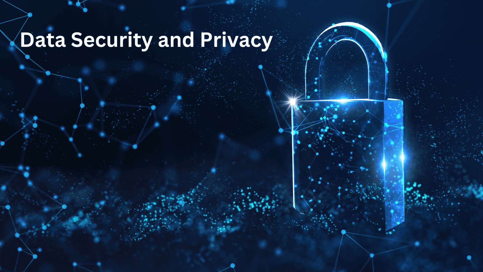 Data Security and Privacy